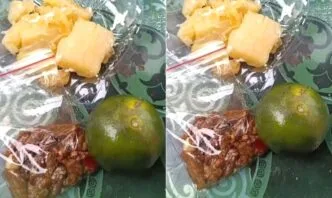 Viral Video Menu MBG Jeruk dan Singkong, SPPG Bojonegoro Tempuh Jalur Hukum Menu MBG Bojonegoro Dikritik di TikTok, Pengelola SPPG Aulia 2 Lapor Polisi