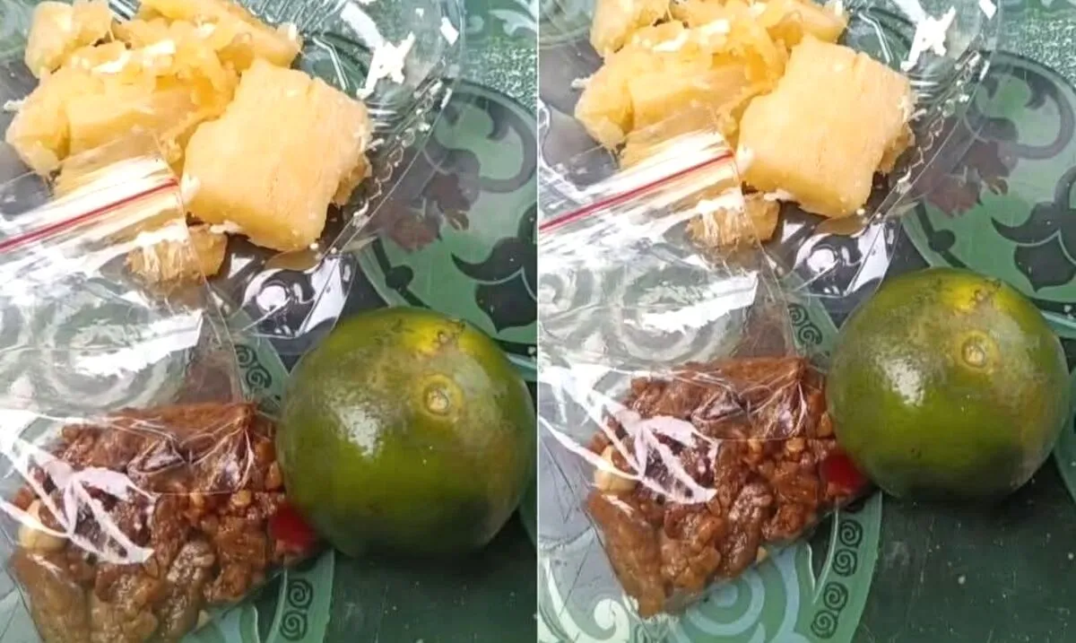 Viral Video Menu MBG Jeruk dan Singkong, SPPG Bojonegoro Tempuh Jalur Hukum Menu MBG Bojonegoro Dikritik di TikTok, Pengelola SPPG Aulia 2 Lapor Polisi