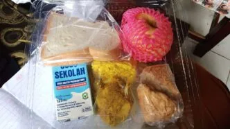 PSI Ingatkan Dampak Sosial Jika MBG Disetop karena Dana Pendidikan