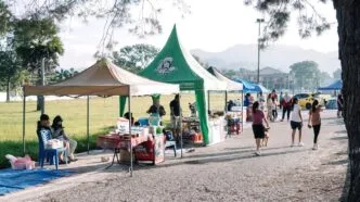 Pendapatan Per Kapita Indonesia 2025 Naik, Rata rata Capai Rp 6,97 Juta per Bulan