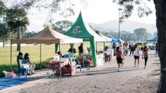 Pendapatan Per Kapita Indonesia 2025 Naik, Rata rata Capai Rp 6,97 Juta per Bulan