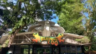 Bandung Zoo Disegel Pemerintah! Wali Kota Bandung Ungkap Sebabnya dan Cari Opsi Pengelolaan Baru Pasca Penyegelan Bandung zoo disegel sementara akibat terbengkalai karena konflik internal