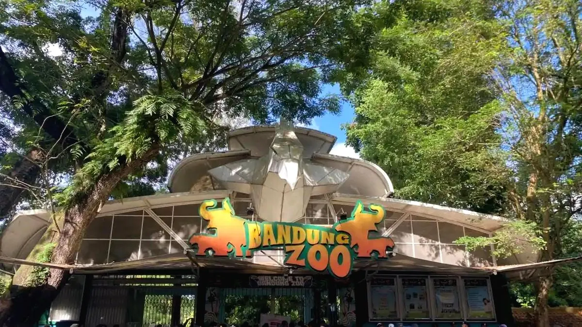 Bandung Zoo Disegel Pemerintah! Wali Kota Bandung Ungkap Sebabnya dan Cari Opsi Pengelolaan Baru Pasca Penyegelan Bandung zoo disegel sementara akibat terbengkalai karena konflik internal