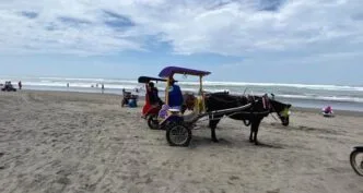 Kunjungan Wisata Pantai Bantul Turun Saat Lebaran 2026, Retribusi Rp15 Ribu Jadi Sorotan Pantai Bantul Tak Seramai Tahun Lalu, Retribusi Rp15 Ribu Dinilai Bebani Wisatawan