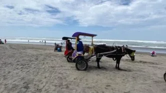 Kunjungan Wisata Pantai Bantul Turun Saat Lebaran 2026, Retribusi Rp15 Ribu Jadi Sorotan Pantai Bantul Tak Seramai Tahun Lalu, Retribusi Rp15 Ribu Dinilai Bebani Wisatawan