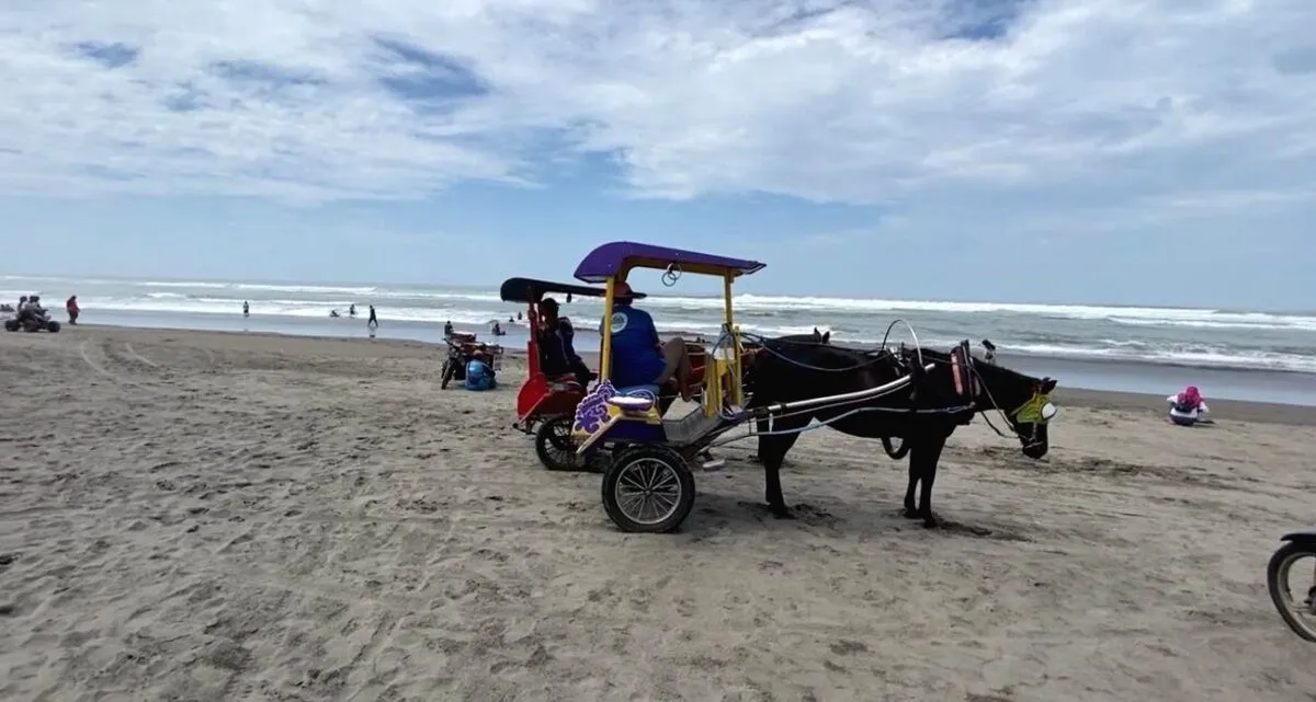 Kunjungan Wisata Pantai Bantul Turun Saat Lebaran 2026, Retribusi Rp15 Ribu Jadi Sorotan Pantai Bantul Tak Seramai Tahun Lalu, Retribusi Rp15 Ribu Dinilai Bebani Wisatawan