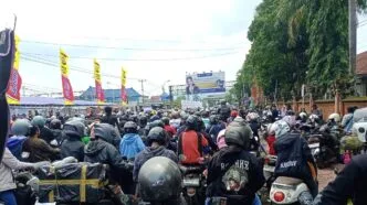 Arus Pemudik Meningkat, Antrean Motor di Pelabuhan Gilimanuk Mengular Pelabuhan Gilimanuk Padat Merayap, Antrean Roda Dua Pemudik Mengular Panjang