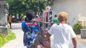 Ikan Kerapu Raksasa Diangkut Jalan Kaki di Sanur, Netizen Sebut Pemandangan Langka Pemandangan Langka di Sanur, Ikan Kerapu Jumbo Diangkut Jalan Kaki