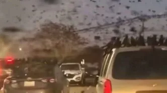 Ribuan Gagak Putar-putar di Langit Tel Aviv, Fenomena Alam atau Pertanda Buruk? Viral Kawanan Gagak Gelapkan Langit Tel Aviv, Ini Penjelasan Ilmiahnya
