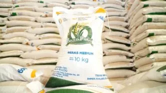 Pemerintah Salurkan Bantuan Pangan Beras dan Minyak Goreng ke 33,2 Juta Penerima Menjelang Lebaran Bansos beras 20 kg lebaran