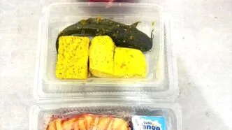 Viral Lele Marinasi Mentah jadi Menu MBG di Pamekasan, Berujung SPPG Ditutup Menu MBG Lele marinasi