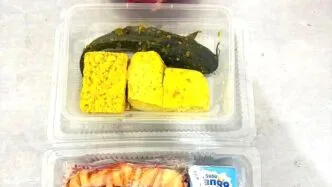 Menu MBG Lele marinasi