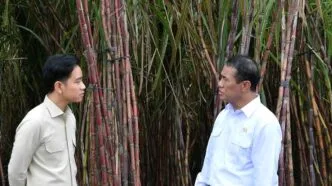 Indonesia Siapkan Bahan Bakar E20 dari Jagung, Ubi, dan Tebu untuk Kurangi Ketergantungan BBM