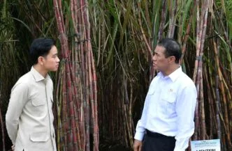 Mentan Amran: Bioetanol dari Tebu Bisa Jadi Pengganti Pertalite dan Pertamax Indonesia Siapkan Bahan Bakar E20 dari Jagung, Ubi, dan Tebu untuk Kurangi Ketergantungan BBM