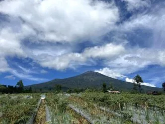 Kegempaan dan Suhu Kawah Naik, Gunung Slamet Masuk Fase Waspada Serius