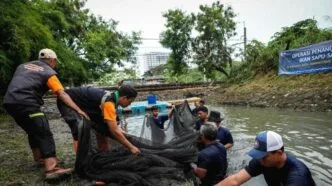 Penguburan Ikan Sapu Sapu Hidup Hidup Tuai Protes, MUI Angkat Suara