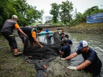 Penguburan Ikan Sapu Sapu Hidup Hidup Tuai Protes, MUI Angkat Suara