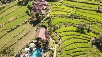 Ilustrasi properti dan tanah di Bali