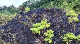 Cadangan Aspal Buton 694 Juta Ton, RI Bisa Mandiri Aspal Hingga Berabad abad