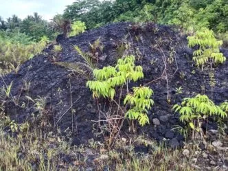 Cadangan Aspal Buton 694 Juta Ton, RI Bisa Mandiri Aspal Hingga Berabad abad