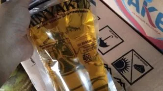 Harga Minyak Kita Naik dan Mulai Langka di Pasaran, Ini Penyebab Lengkapnya