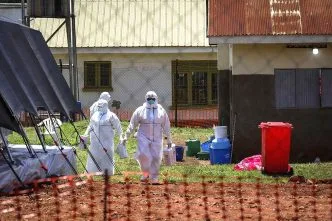 Virus Ebola Bundibugyo Merebak di Afrika, WHO Peringatkan Risiko Penyebaran Global Ebola who darurat global afrika