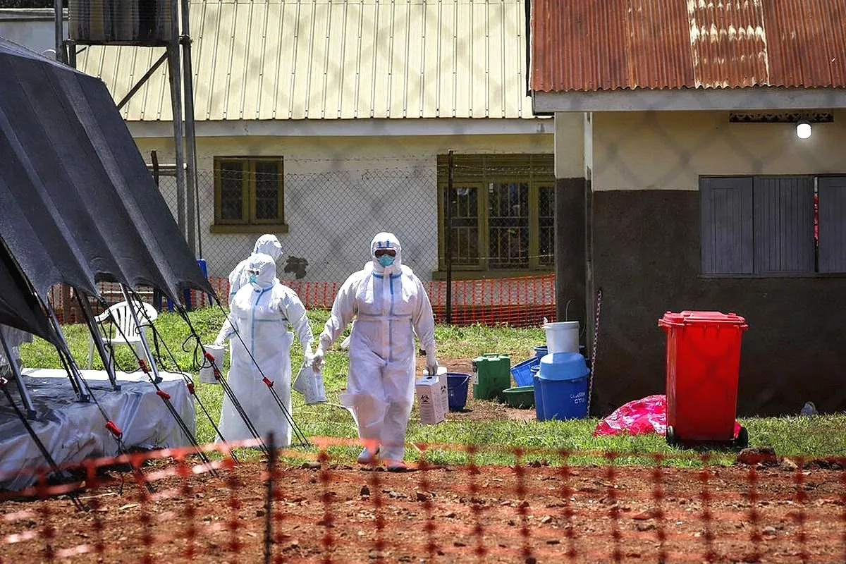 Virus Ebola Bundibugyo Merebak di Afrika, WHO Peringatkan Risiko Penyebaran Global Ebola who darurat global afrika