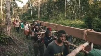 Ilustrasi adegan dalam film pesta babi yang viral