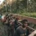 Ilustrasi adegan dalam film pesta babi yang viral