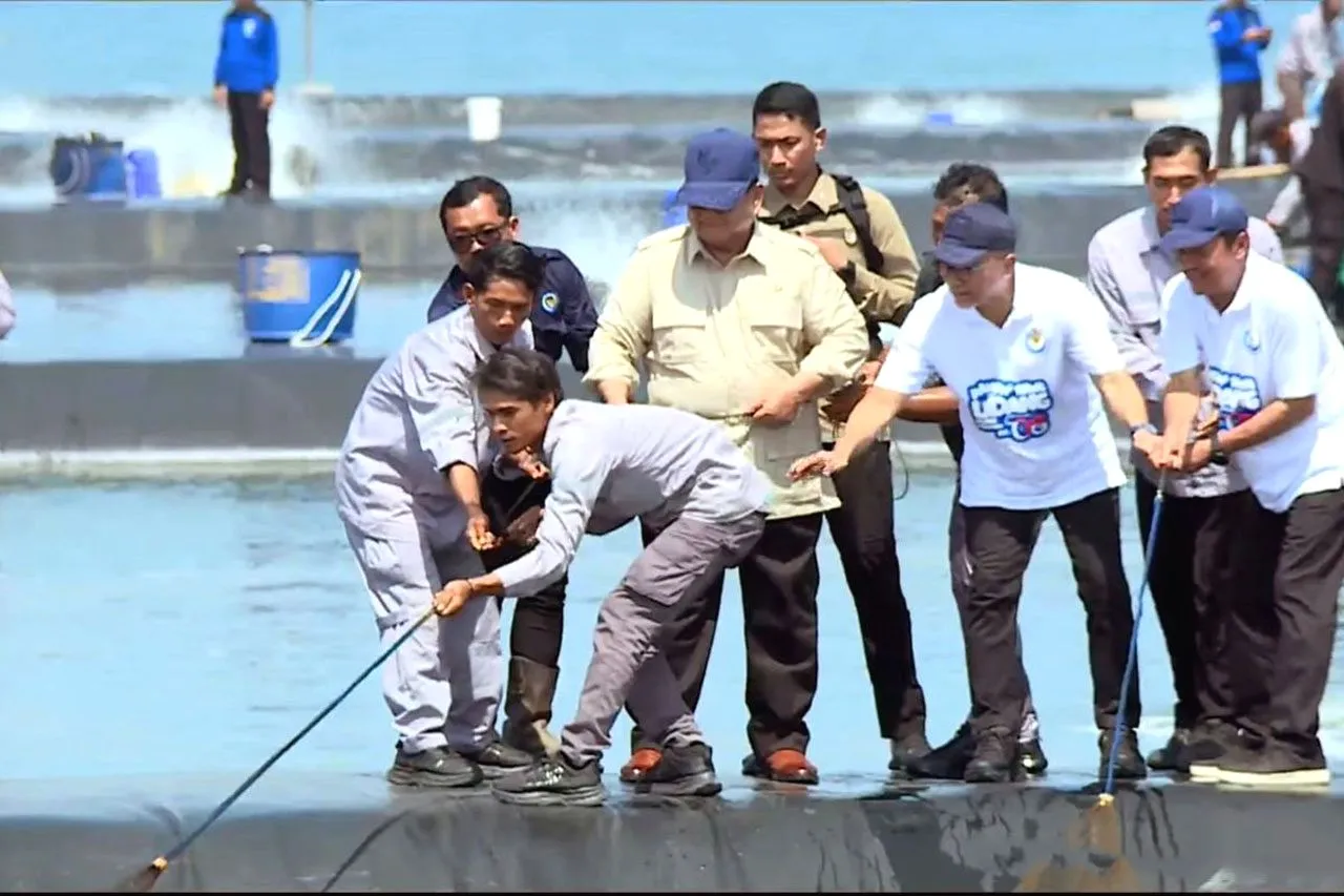 Prabowo Tinjau Panen Raya Udang di Kebumen, Produksi Capai 2,8 Miliar per Hektare Prabowo panen udang kebumen