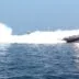 Saling tembak di selat hormuz