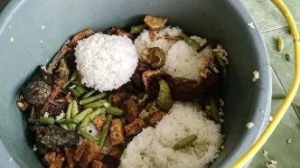 Ratusan Porsi Makan Bergizi Gratis di Pandeglang Tak Tersalurkan, Berakhir Jadi Pakan Ternak Fakta Ratusan Porsi MBG di Pandeglang Jadi Pakan Ayam dan Bebek, Ini Penyebabnya