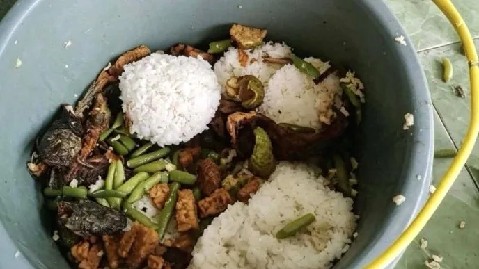 Ratusan Porsi Makan Bergizi Gratis di Pandeglang Tak Tersalurkan, Berakhir Jadi Pakan Ternak Fakta Ratusan Porsi MBG di Pandeglang Jadi Pakan Ayam dan Bebek, Ini Penyebabnya