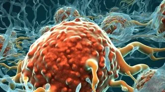 Kabar Baik Dunia Medis, Kandidat Obat Kanker Ini Tunjukkan Efektivitas pada Berbagai Jenis Tumor