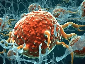 Kabar Baik Dunia Medis, Kandidat Obat Kanker Ini Tunjukkan Efektivitas pada Berbagai Jenis Tumor