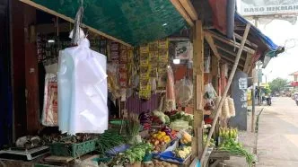 Program MBG Dihentikan Sementara, Orangtua Siswa Sebut Harga Ayam dan Telur Lebih Murah
