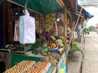 Program MBG Dihentikan Sementara, Orangtua Siswa Sebut Harga Ayam dan Telur Lebih Murah
