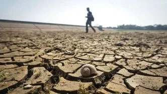 Waspada Kekeringan! BMKG Sebut Sebagian Besar Jawa hingga Papua Alami Kemarau Lebih Lama Tahun Ini Kemarau el nino indonesia