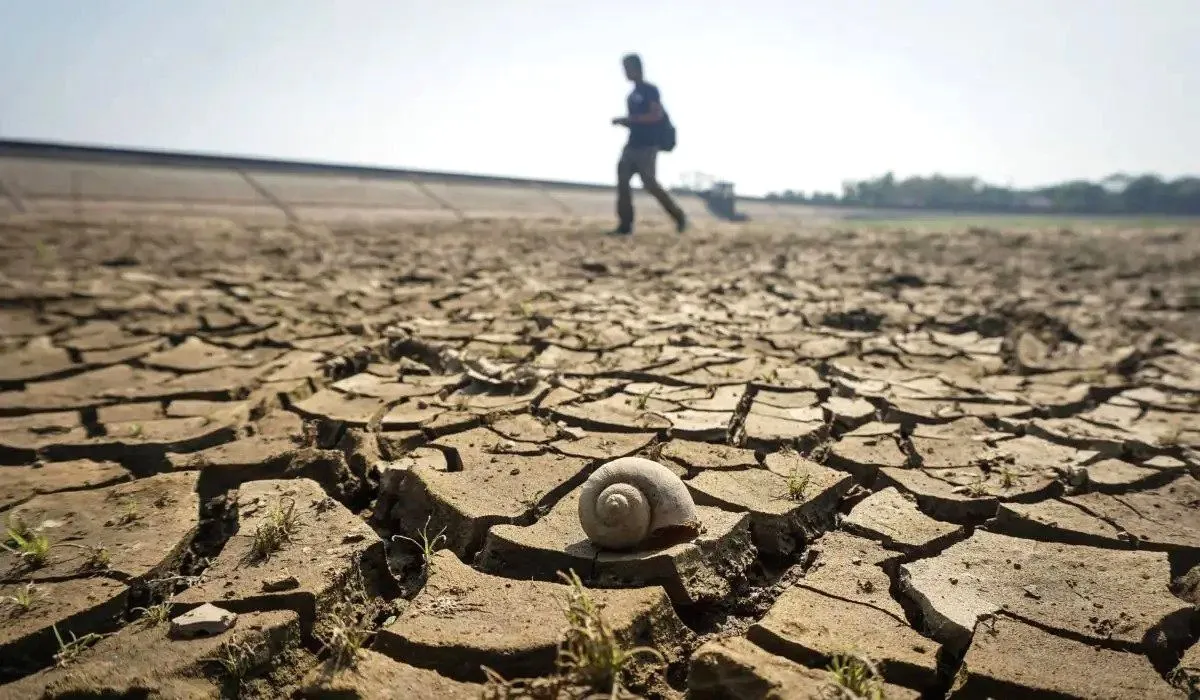 Waspada Kekeringan! BMKG Sebut Sebagian Besar Jawa hingga Papua Alami Kemarau Lebih Lama Tahun Ini Kemarau el nino indonesia