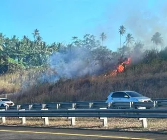 72,8 Persen Wilayah Indonesia Masuk Musim Kemarau, BMKG Ingatkan Ancaman Karhutla dan Angin Kencang