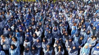 Asn pemerintah daerah