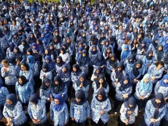 Asn pemerintah daerah