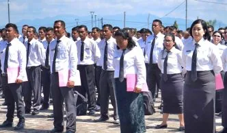 Ilustrasi pppk paruh waktu
