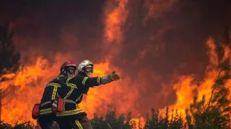 Sudah 2000 Korban Jiwa, Heatwave Eropa Makin Parah, Warga Berebut AC hingga Risiko Kebakaran Hutan Meningkat Kebakaran hutan prancis heatwave