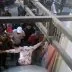 Oknum ormas duduki ruko surabaya