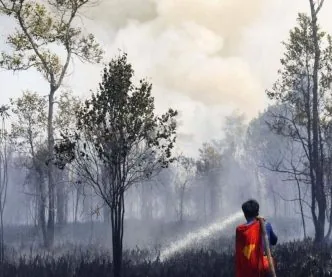 Asap Kebakaran Hutan Kalimantan Meluas, Relawan Ungkap Sulitnya Padamkan Api di Gambut