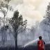 Asap Kebakaran Hutan Kalimantan Meluas, Relawan Ungkap Sulitnya Padamkan Api di Gambut