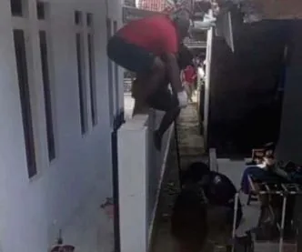 Kronologi Babi Hutan Ngamuk di Kuningan, Pemuda 22 Tahun Terluka Saat Halau Hewan Liar