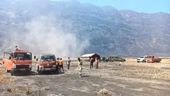 Angin Kencang Perparah Kebakaran Bromo hingga Mencapai 921 Hektar, Gubernur Jatim: Penanganan Dipercepat Kebakaran bromo luas 921 hektare