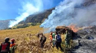 Kebakaran bromo terbaru luas 520 hektare